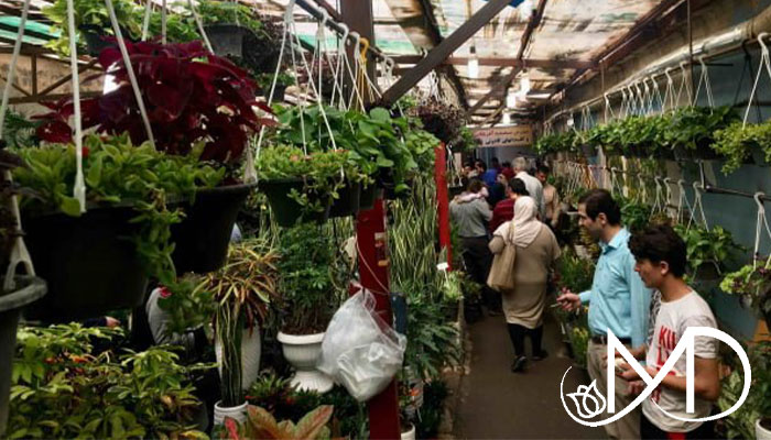 flower market 5